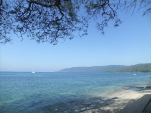 My first view of ALK at Com!