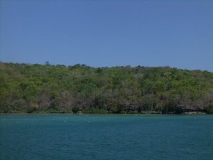 Seaweed lines along every coast.