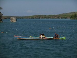 More seaweed farming!