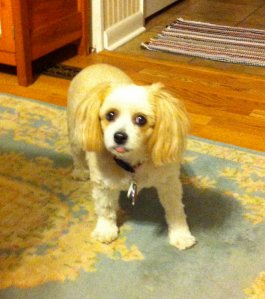 Smile Zoe! At her cutest. :-P