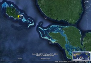 Thats a lot of reefs